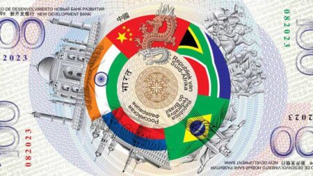 brics-monnaie